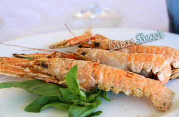 images/ristorante gallery/cacao-2017-scampi-IMG_8017-logo.png